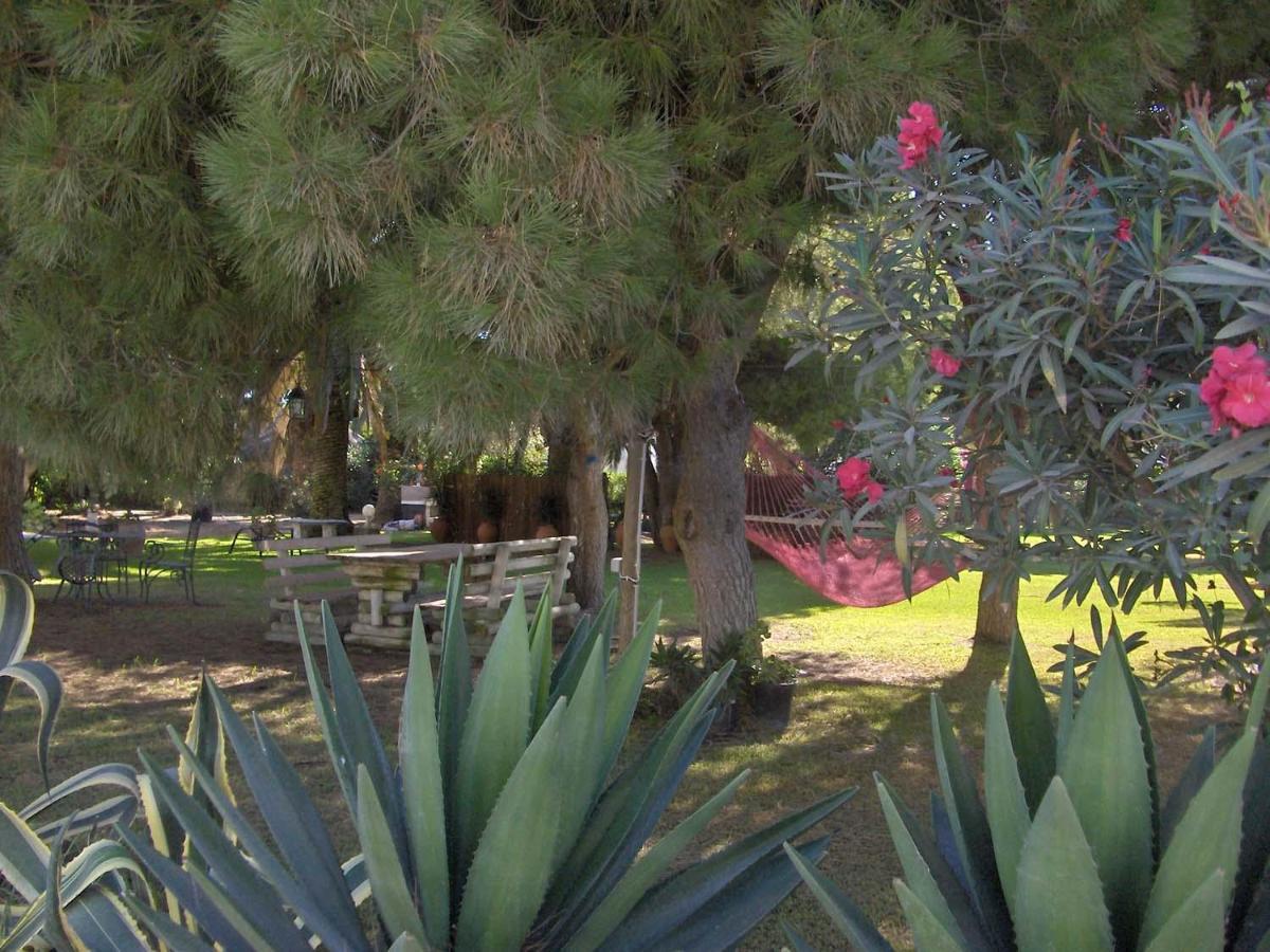 Villa Malyma Beach Front 10,000M2 Botanic Garden Zahora Exterior foto