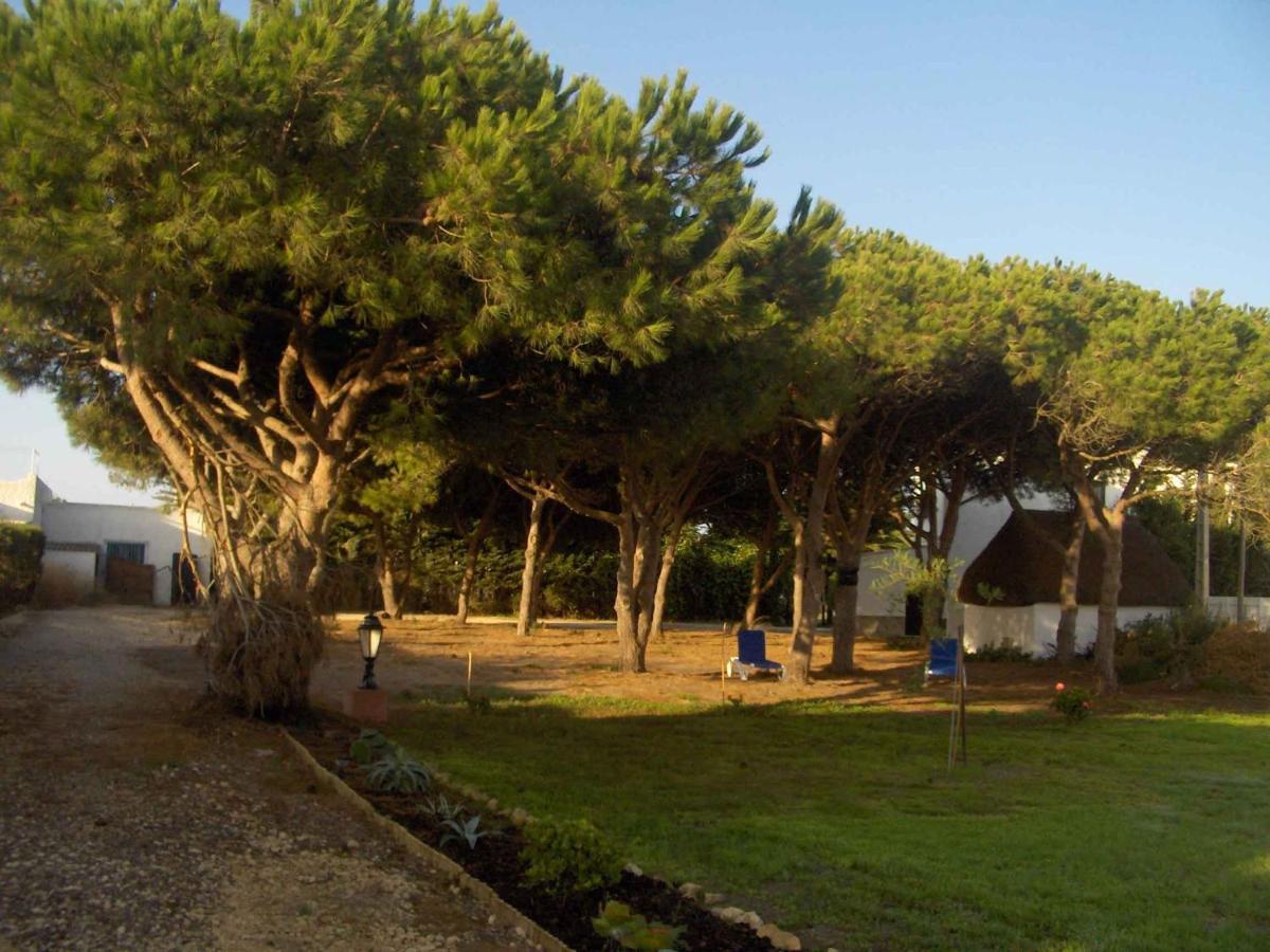 Villa Malyma Beach Front 10,000M2 Botanic Garden Zahora Exterior foto