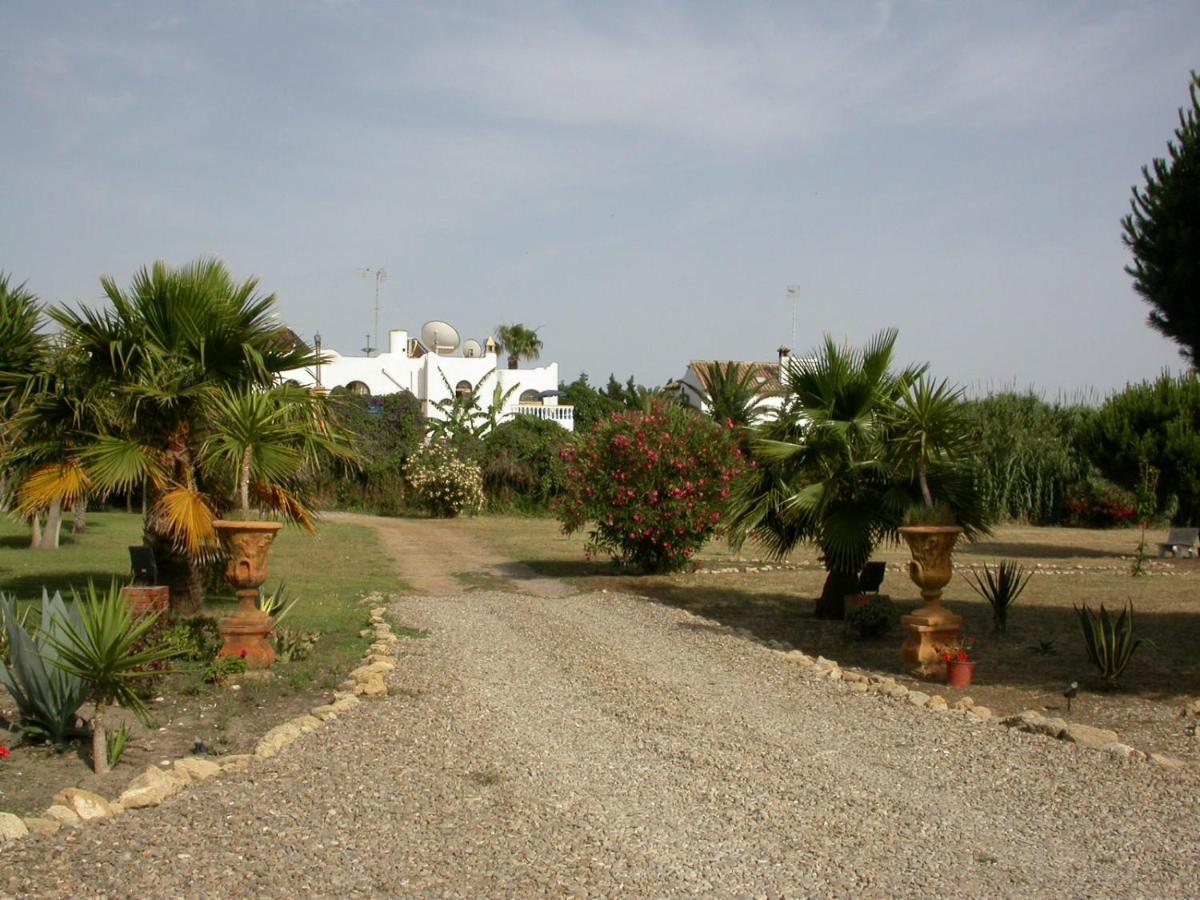 Villa Malyma Beach Front 10,000M2 Botanic Garden Zahora Exterior foto