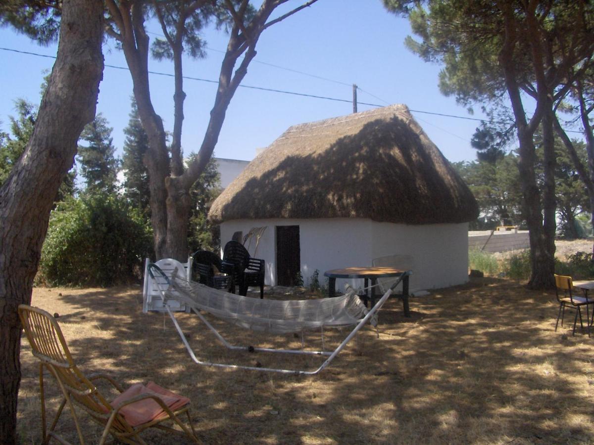 Villa Malyma Beach Front 10,000M2 Botanic Garden Zahora Exterior foto