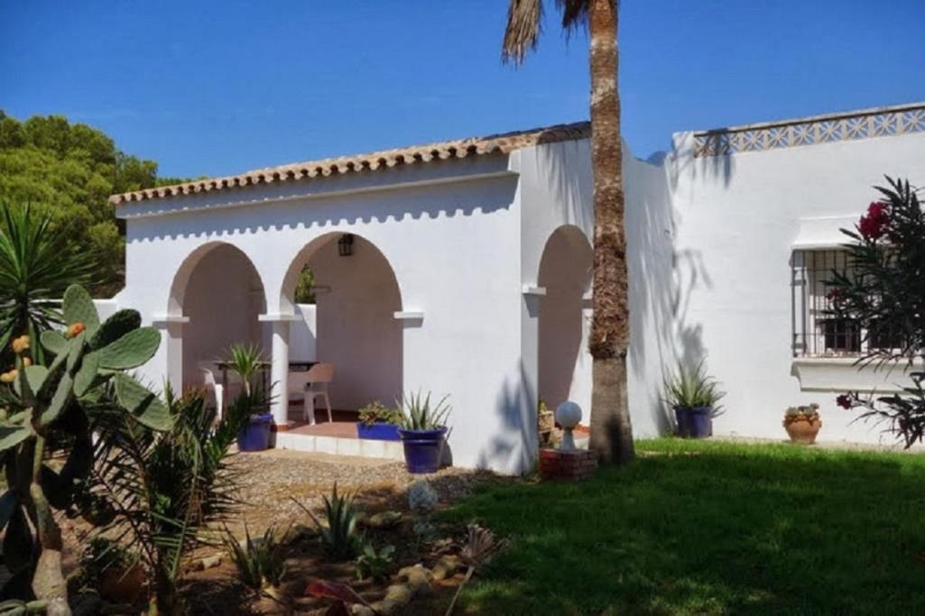 Villa Malyma Beach Front 10,000M2 Botanic Garden Zahora Exterior foto