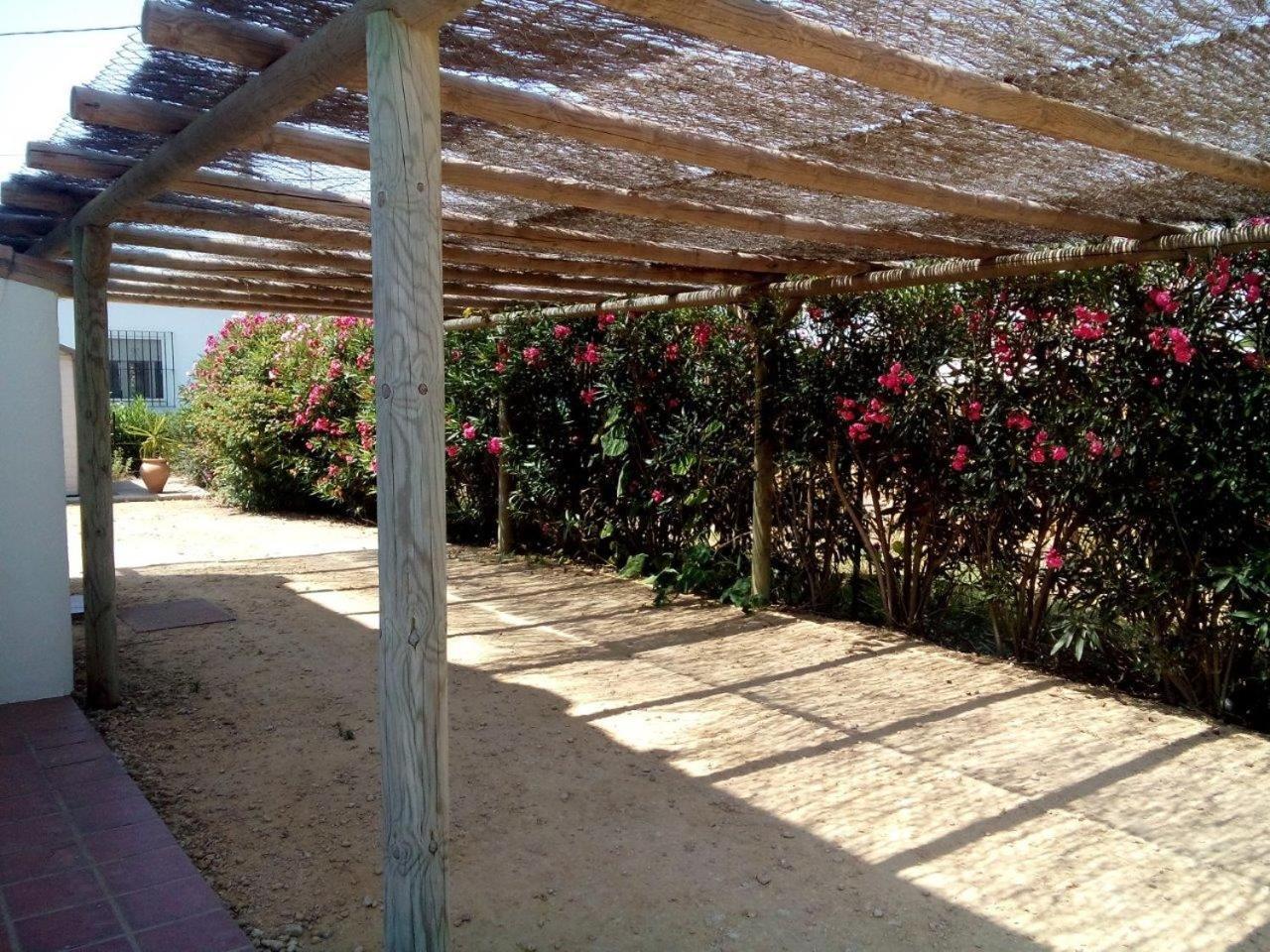 Villa Malyma Beach Front 10,000M2 Botanic Garden Zahora Habitación foto